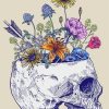 Bloom Skull paint by numbers