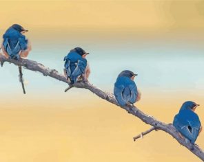 Blue Birds On Branch Paint By Numbers