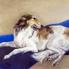 Borzoi Dog paint by numbers