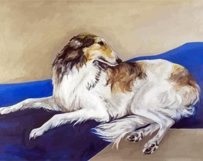 Borzoi Dog paint by numbers