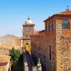 Bujaco Tower Caceres Paint By Numbers