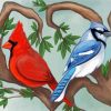 Cardinal And Blue Jay paint by numbers