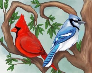 Cardinal And Blue Jay paint by numbers