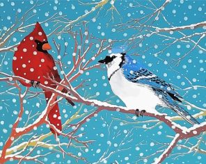 Cardinal And Jay Bird Paint By Numbers