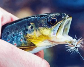 Catching Brown Trout paint by numbers