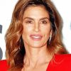 Cindy Crawford Paint By Numbers