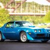 1979 Blue Pontiac Firebird paint by numbers