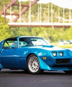 1979 Blue Pontiac Firebird paint by numbers