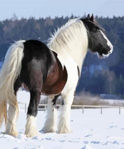 Cob Horse In Snow paint by numbers