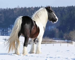 Cob Horse In Snow paint by numbers