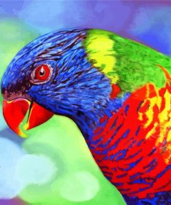 Lorikeet Bird Art Paint By Numbers