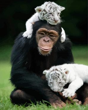 Monkey And Tiger Paint By Numbers