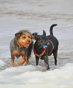 Dachshund Dogs On Beach paint by numbers