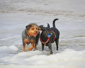 Dachshund Dogs On Beach paint by numbers