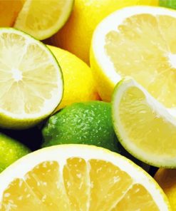 Fresh Lemons And Limes paint by numbers