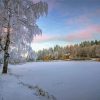 Frozen Tree Lake Landscape paint by numbers