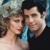 Grease Characters paint by numbers