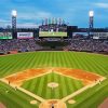 Guaranteed Rate Field paint by numbers