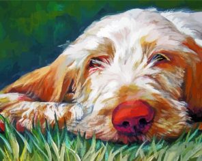 Spinone Dog Art paint by numbers