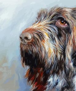 Italian Spinone Head Paint By Numbers