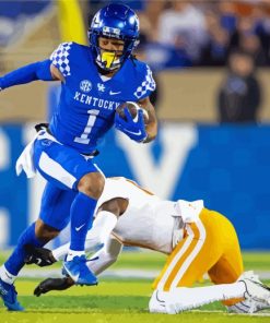 Kentucky Wildcats Footballers paint by numbers