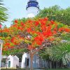 Key West Lighthouse paint by numbers