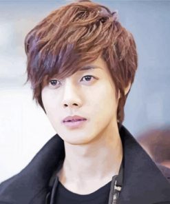 Kim Hyung Joong Paint By Numbers