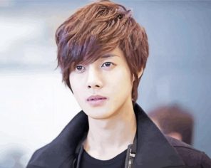 Kim Hyung Joong Paint By Numbers