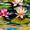 Lily Pondlily Pond Art Paint By Numbers