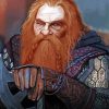 Lord Of The Rings Gimli paint by numbers