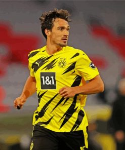 Mats Hummels paint by numbers