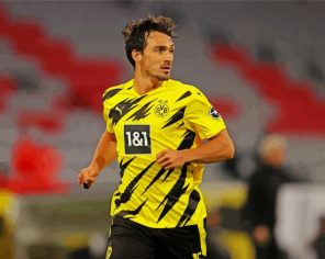 Mats Hummels paint by numbers