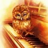 Owl Bird Playing Piano Paint By Numbers