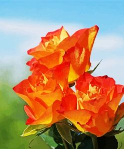 Peach Roses paint by numbers