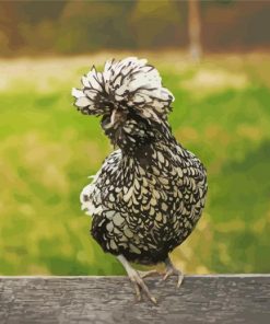 Frizzle Chicken Paint By Numbers