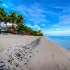 Rarotonga Seascape paint by numbers