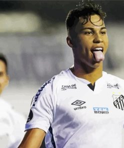 Santos Fc Footballer Paint By Numbers