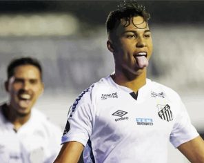 Santos Fc Footballer Paint By Numbers