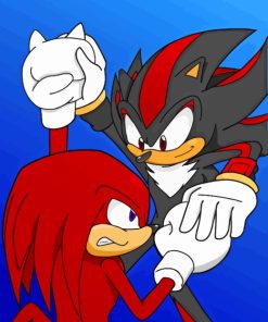 Shadow And Knuckles Paint By Numbers