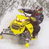 Snowmobile Rider paint by numbers