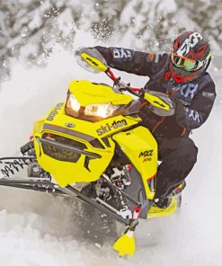 Snowmobile Rider paint by numbers