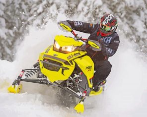 Snowmobile Rider paint by numbers