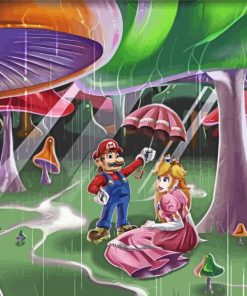 Princess Peach And Mario paint by numbers