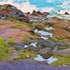 Tide Pool Landscape Paint By Numbers