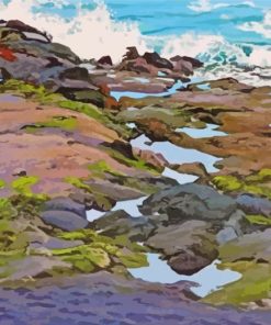 Tide Pool Landscape Paint By Numbers