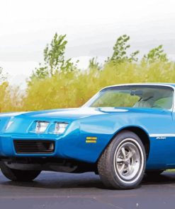 1979 Pontiac Firebird Paint By Numbers