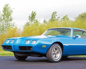 1979 Pontiac Firebird Paint By Numbers