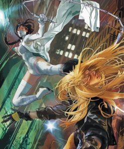 White Vs Black Canary paint by numbers