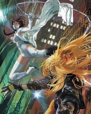 White Vs Black Canary paint by numbers