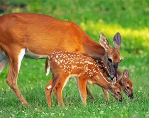 Deers And Cubs Animals paint by numbers